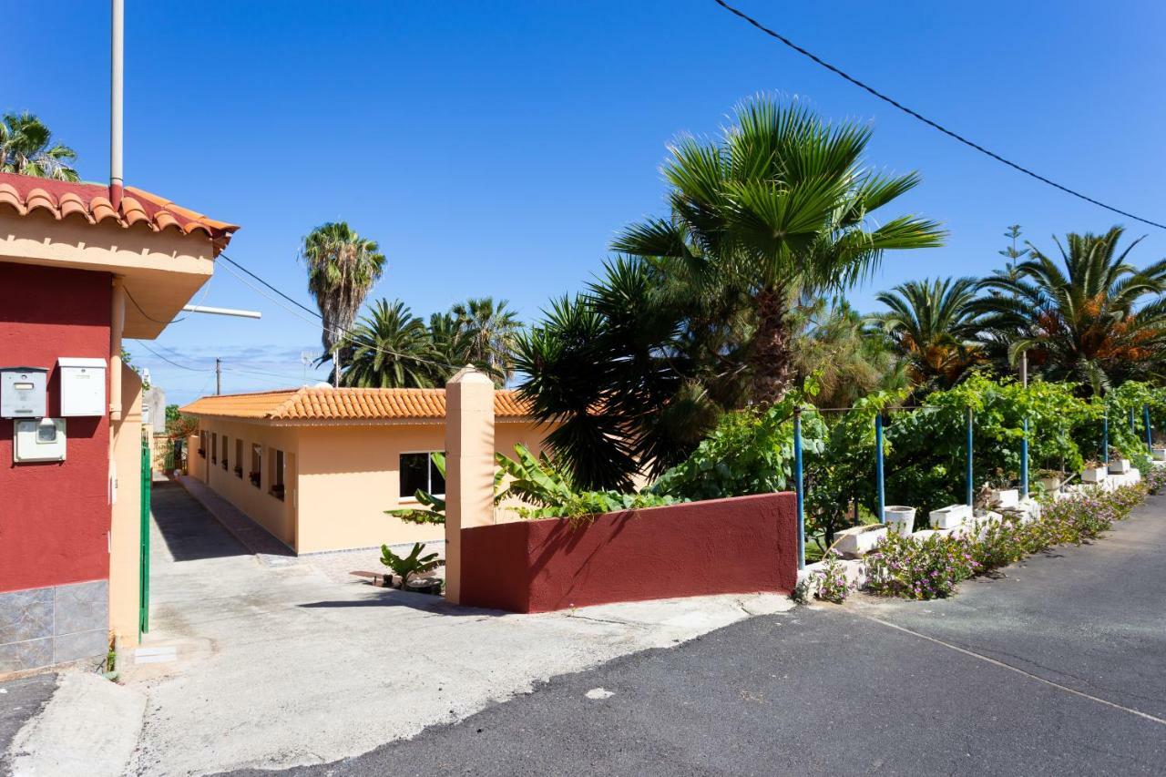 Finca La Gaviota - Las Palmeras Icod De Los Vinos Exterior foto
